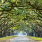 georgia notary training course