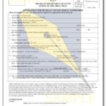 Michigan Notary Application