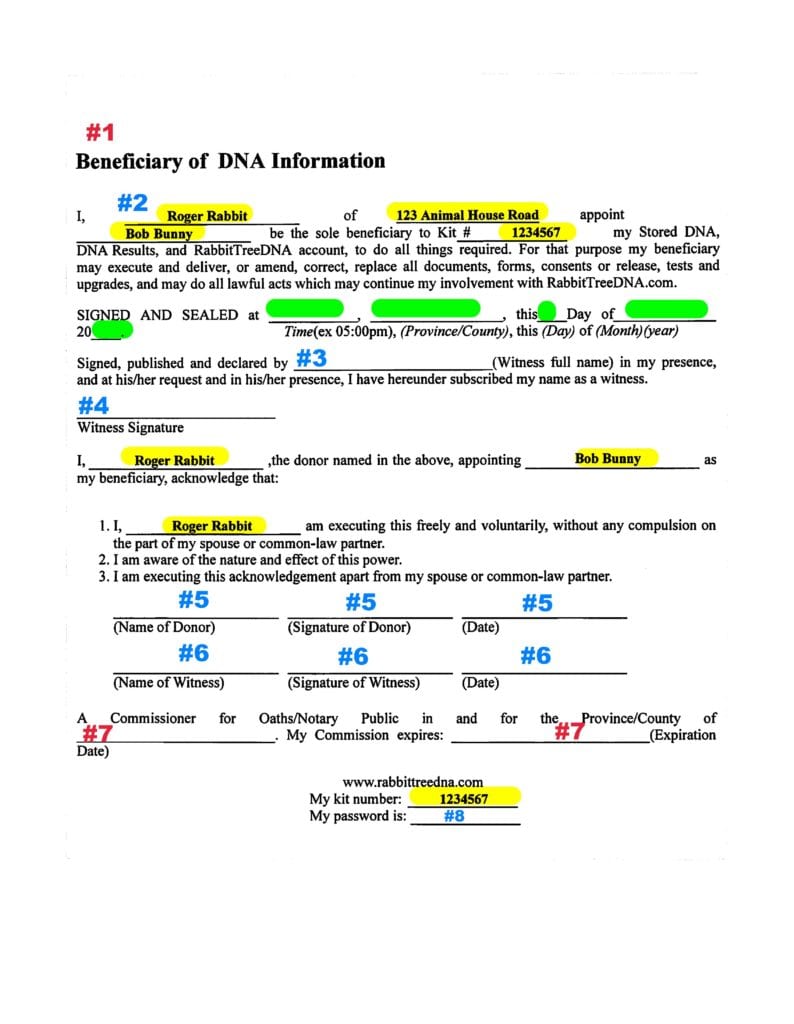 how-to-notarize-an-affidavit